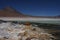 Laguna Blanca and Licancabur