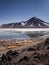 Laguna Blanca is a salt lake at the foot of the volcanos Licancabur and Juriques - Eduardo Avaroa Andean Fauna National Reserve,