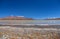 Laguna Canapa in Altiplano a salt lake, Bolivia