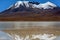 Laguna Canapa in Altiplano a salt lake, Bolivia