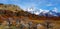 Laguna Capri and Mount Fitz Roy with autumn colors, Argentina