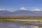 Laguna Cejar, Atacama, Chile