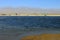 The Laguna Cejar, Chile