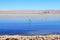 Laguna Chaxa in the National reserve Los Flamencos