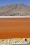 Laguna Colorada, Altiplano, Bolivian Andes