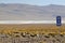 Laguna Colorada, Altiplano, Bolivian Andes