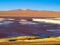 Laguna Colorada in Cordillera de Lipez