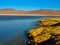 Laguna Colorada in Cordillera de Lipez