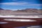 Laguna Colorada in Cordillera de Lipez, Bolivia