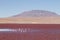 Laguna Colorada flamingos, Bolivia