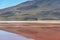 Laguna Colorada, Uyuni Salt Desert, Bolivia