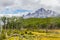 Laguna Esmeralda trail with forest and mountains