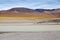 Laguna Grande in the Catamarca Province at Puna de Atacama, Argentina