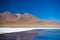 `Laguna Honda`, a frozen salt lake with flamingos on the way to the famous Uyuni Salt Flat, travel destination in Boliv