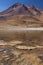 Laguna Miniques high on the altiplano - Atacama Desert - Chile