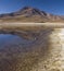 Laguna Miscanti - Chile