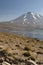 Laguna Miscanti in the High Andes Mountains in the Atacama Desert