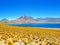 Laguna Miscanti and volcano Miniques Chile