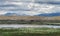 Laguna Nimez reserve with Andes in the background and flamingos in the water.