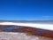 Laguna Tebinquiche, San Pedro de Atacama, Chile