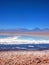 Laguna Tebinquiche, San Pedro de Atacama, Chile