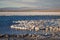 Laguna Tebinquinche landscape in San Pedro de Atacama, Chile