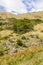 Laguna Turquesa trail with vegetation