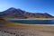 Lagunas Altiplanicas, Atacama Desert, Chile - March 2016