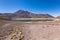 Lagunas Altiplanicas, Miscanti y Miniques, amazing view at Atacama Desert. Chile, South America