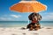 Laid-back canine enjoying a sunny beach day with chic sunglasses and a vibrant beach umbrella