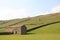 Laithes In The Fields Around Muker