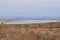 Lake against a mountain background, Lake Elementaita