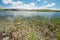 Lake Alexandrina