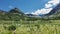 The lake on the alpine meadow is surrounded by picturesque mountains