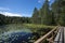 Lake with aquatic plants