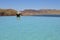 Lake Argyle Ord River Dam Kimberley Western Australia