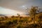 Lake Balangida, Manyara Region, Tanzania from Mbulu Heights