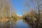 Lake  and bare forest in the Flemish countryside