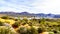 Lake Bartlett surrounded by the mountains and many Saguaro and other cacti in the desert landscape of Arizona
