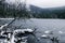 Lake in the Bavarian forest in the winter