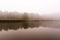 Lake and a bed of reeds. Calm and foggy weather.