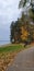 Lake bench and the park