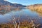 Lake Benmore, Willows & Raupo, Otago, New Zealand