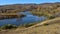 The lake and the birch on the grassland in autumn