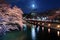 Lake biwa canal with sakura