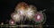 Lake Biwa Fireworks