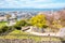 Lake Biwa and Hikone town and castle park panorama view at spring in Shiga, Japan