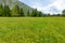 Lake Bohinj and Ukanc village in Triglav national park, Slovenia