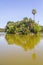 Lake in Bosques de Palermo park