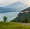 Lake Brienz summer top view Switzerland